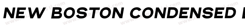 New Boston Condensed Bold Italic字体转换
